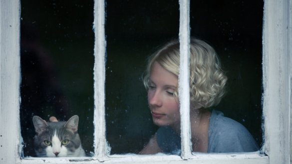 Vissen kisse – så ser du om din katt är deprimerad